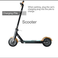 36V GPS Location 2G/3G/4G wireless APP software system  swapping battery 15ah  sharing scooter